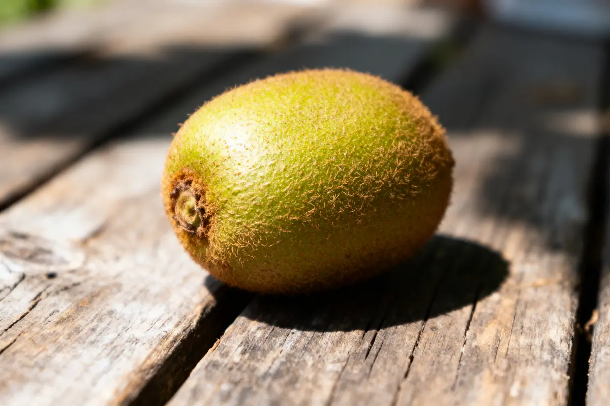 Kiwi entier posé sur une table en bois, éclairé par le soleil.