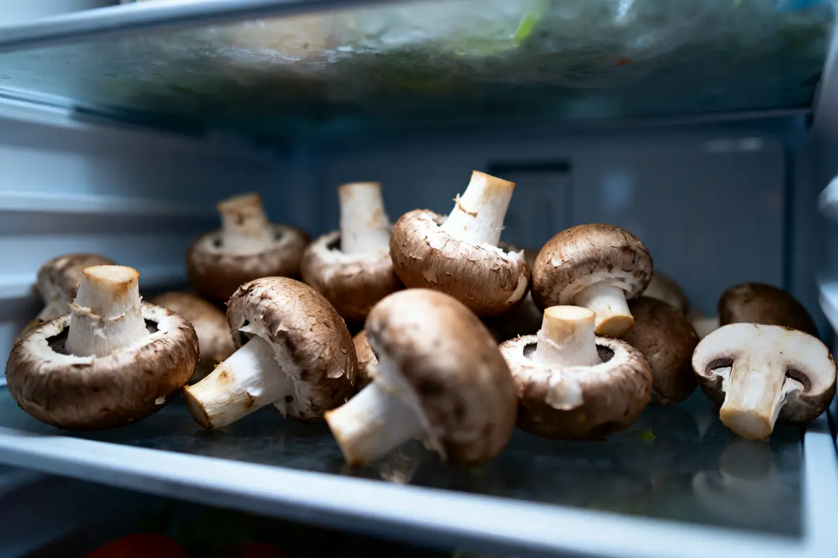 Champignons bruns frais sur une étagère de réfrigérateur, éclairage intérieur doux, stockage cuisine.