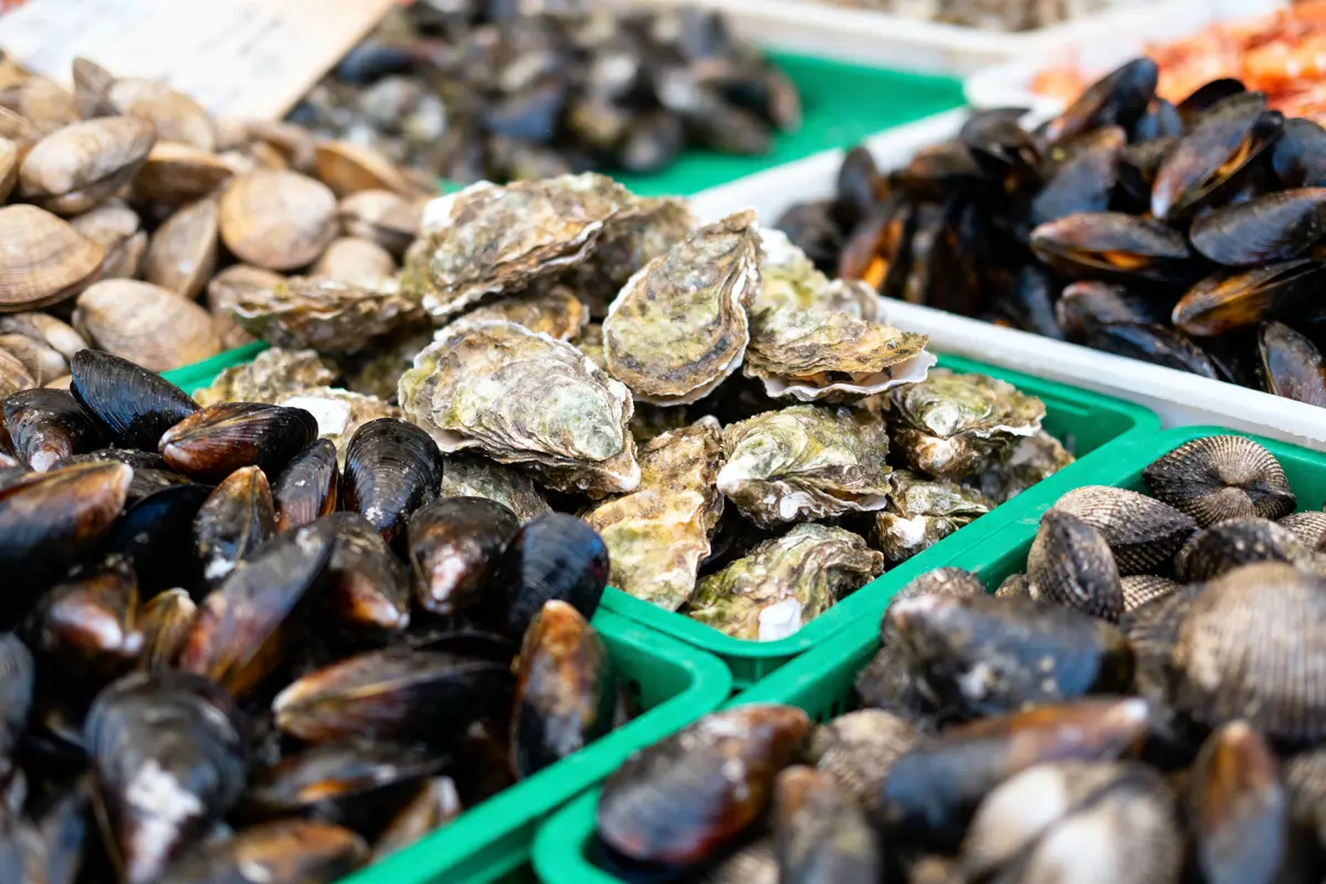 Coquillages variés sur étal de marché: moules, huîtres, palourdes, dans des bacs verts.