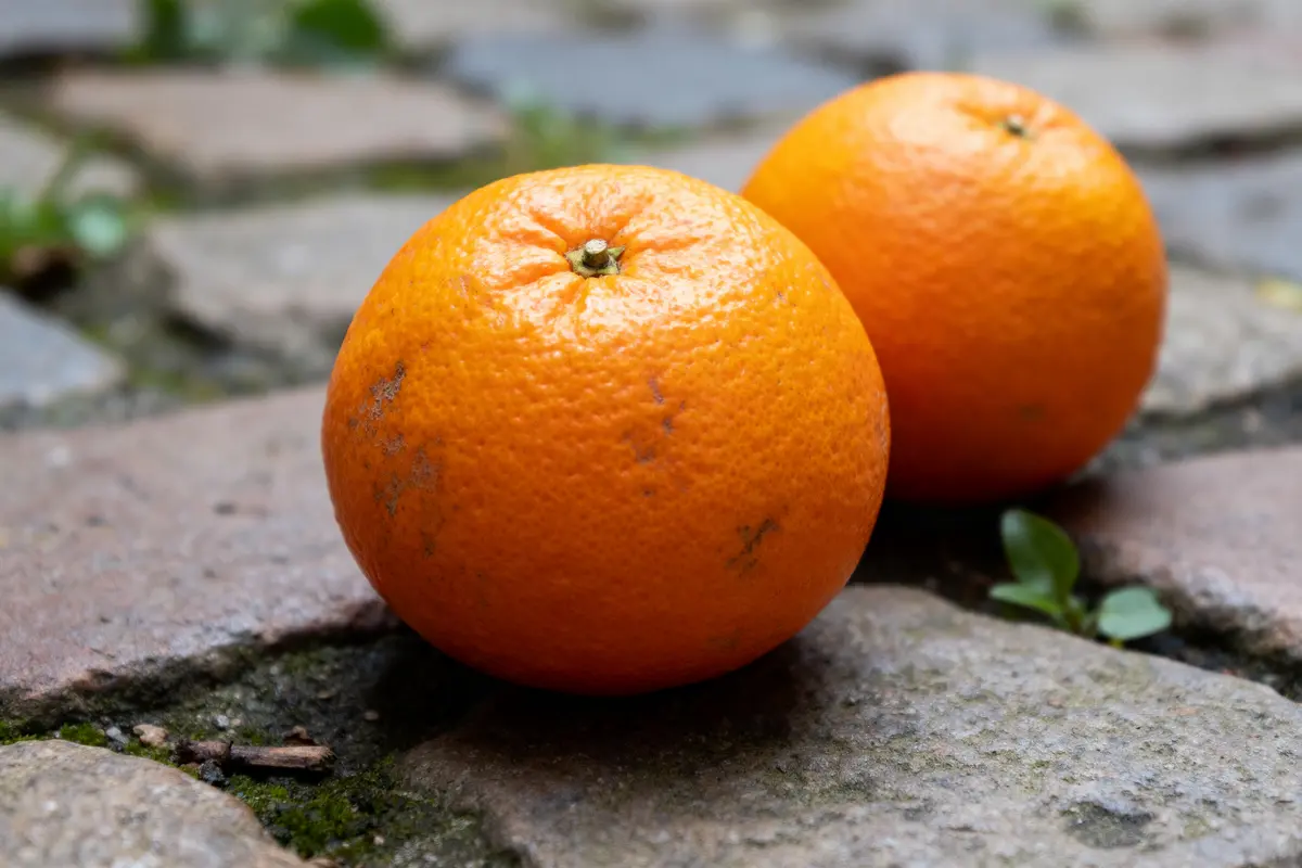 Deux fruits exotiques orange posés sur des pavés avec quelques feuilles vertes dispersées