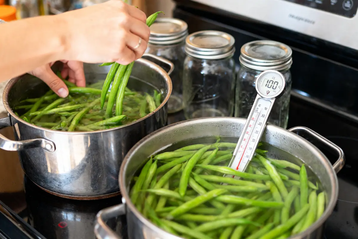 Main remuant des haricots verts dans casserole pour stériliser les haricots verts efficacement