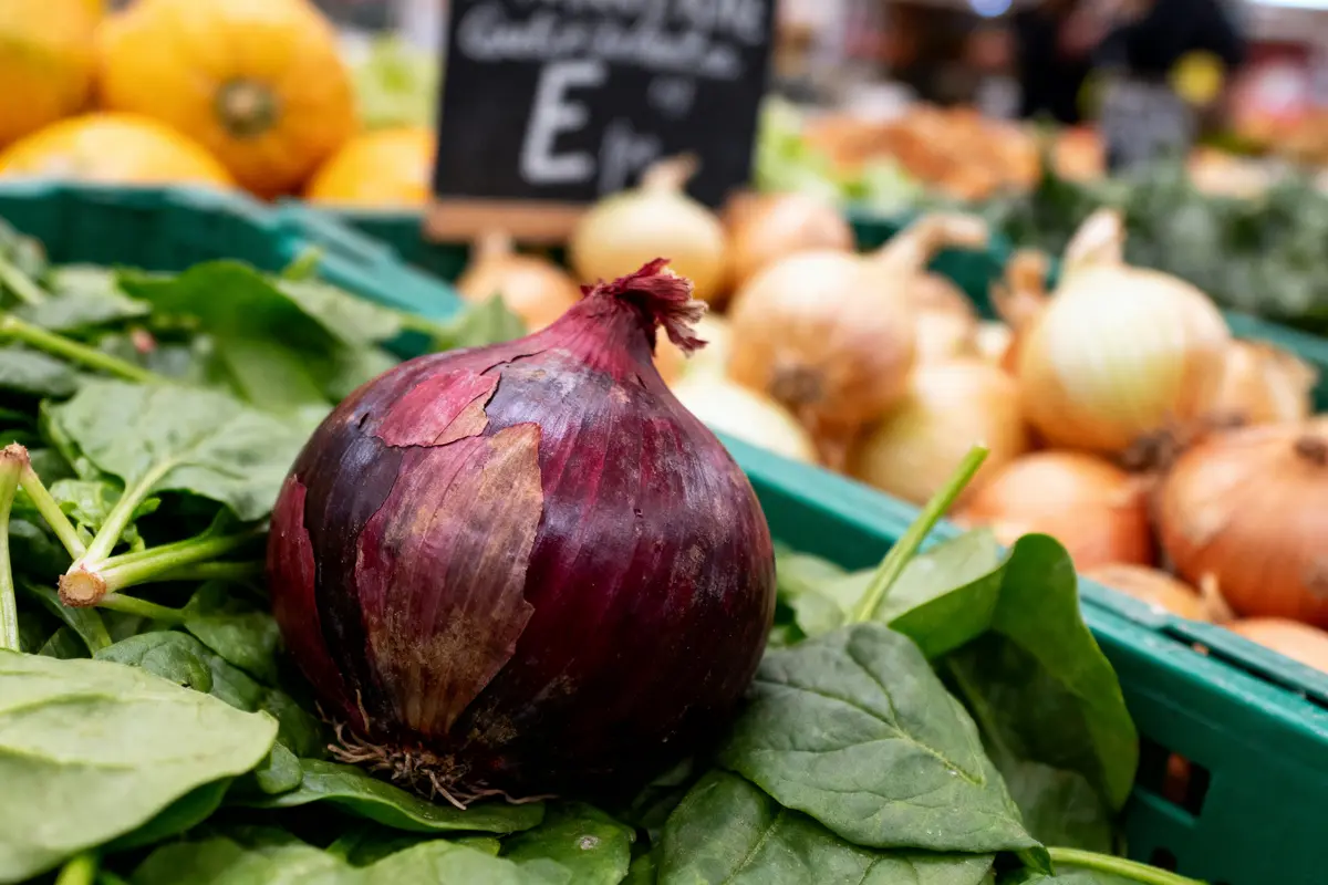 Oignon rouge sur des épinards avec oignons blancs au marché.